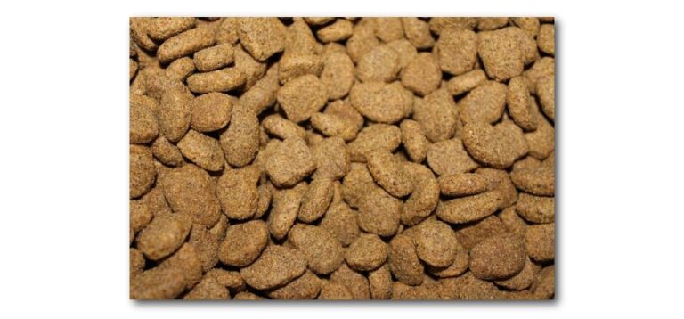 quelle est la securite des aliments pour chiens seches a lair