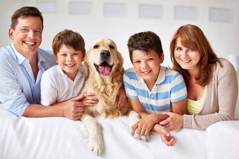 ce que le fait detre un proprietaire de chien peut nous apprendre sur le marketing