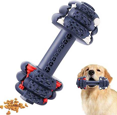 jouets a macher pour chiens lequel pour votre meilleur ami