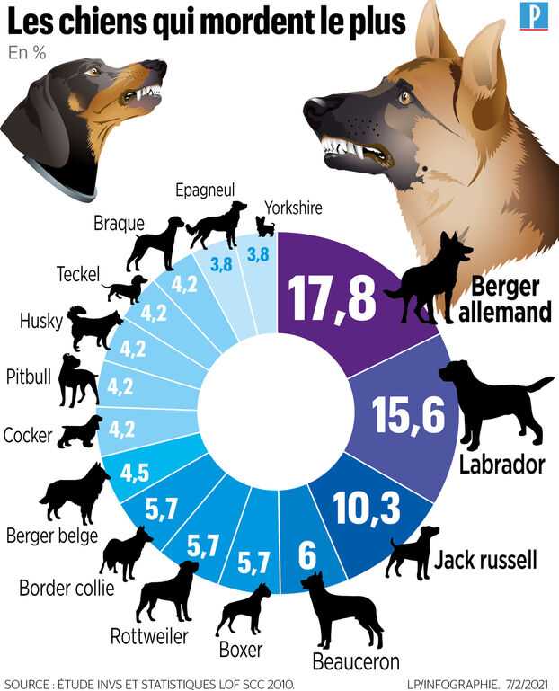 eviter les chiens agressifs