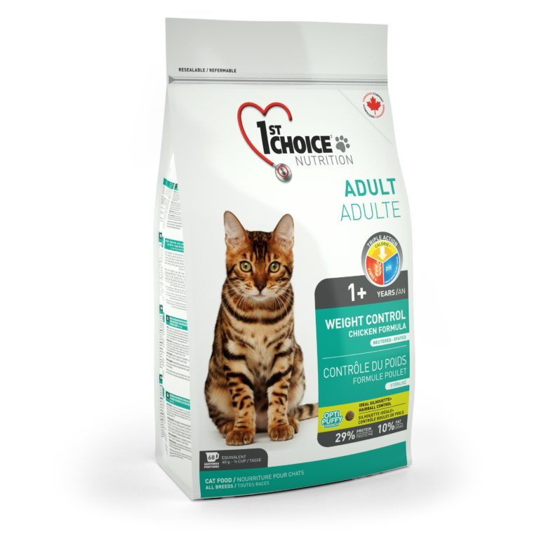 chats gras nourriture pour chat pour perdre du poids