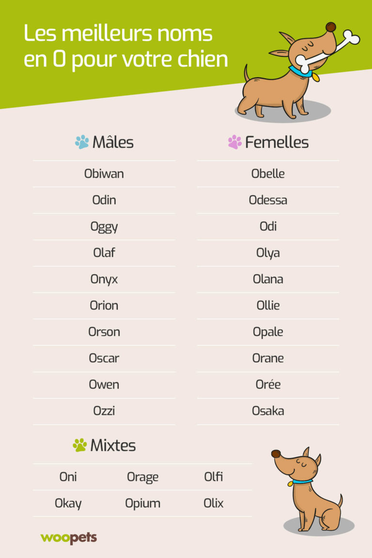 comment choisir les noms des chiots