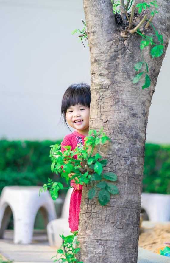 arbre