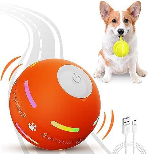 Petiepaw Balle interactive pour chien, robuste, à roulement automatique, pour chiots, petits, moyens chiens, rechargeable par USB