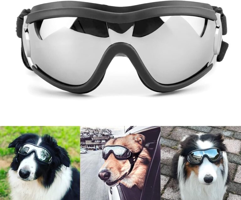 Révolutionnaires Lunettes Anti-Vent pour Chiens : Protégez votre Grand Compagnon du Froid avec Style!