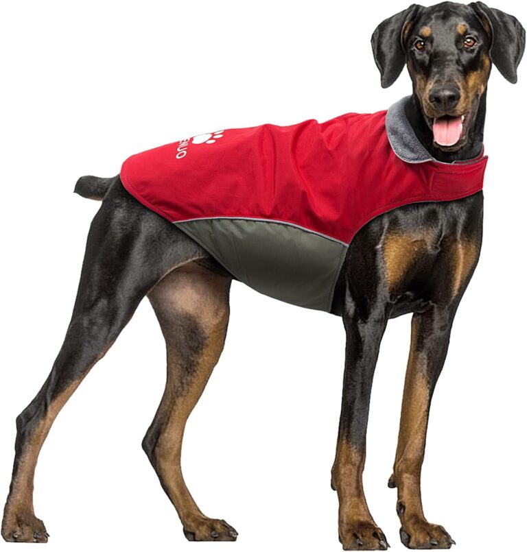 Transformez votre chien en superstar chic cet hiver ! Manteau imperméable luxueux, sécurité et confort au rendez-vous ! (Rouge, 2XL)