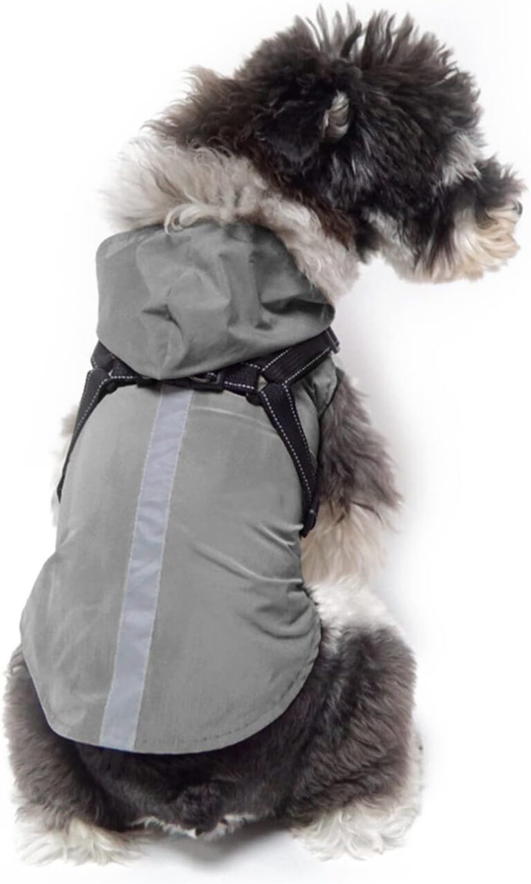 Incroyable Manteau Imperméable et Respirant pour Chien : Sécurisez vos Balades sous la Pluie avec Style !