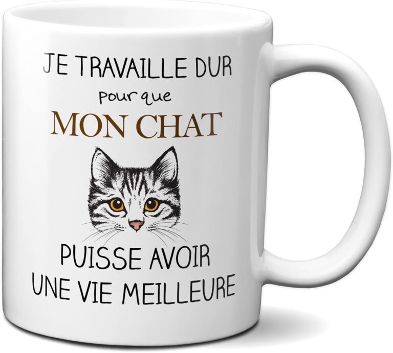 Mug Humoristique : Mon Chat Mène la Vie de Rêve Grâce à Mon Dur labeur !