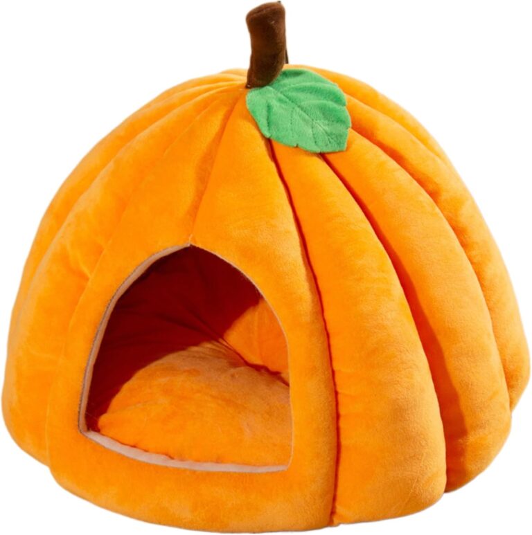 Découvrez le lit d'Halloween ultime : grotte citrouille ultra-confort pour chats, chaleur et style au rendez-vous !