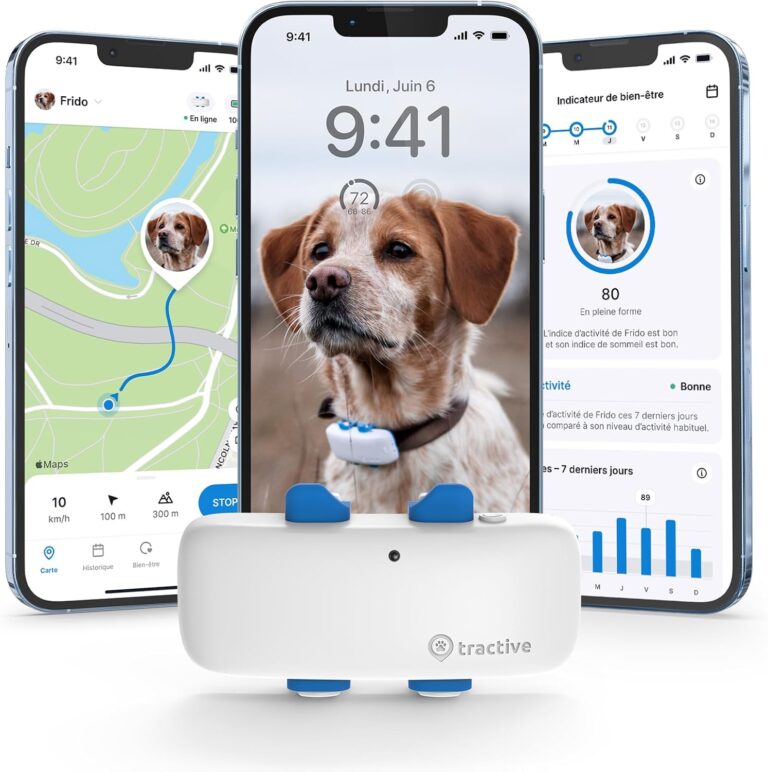 Tractive : Le collier GPS révolutionnaire pour chiens !