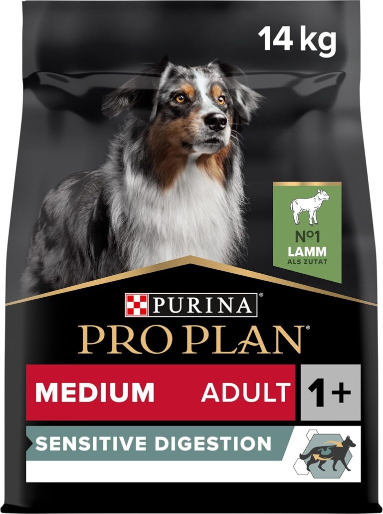 Révolution alimentaire : Agneau irrésistible pour chiens!