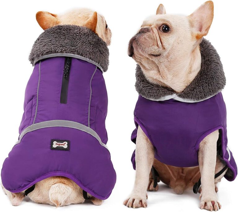 Manteau Imperméable et Coupe-Vent pour Chiens - Vêtements Chauds Taille M, Idéal Par Temps Froid, Activités Intérieures et Extérieures (Violet)