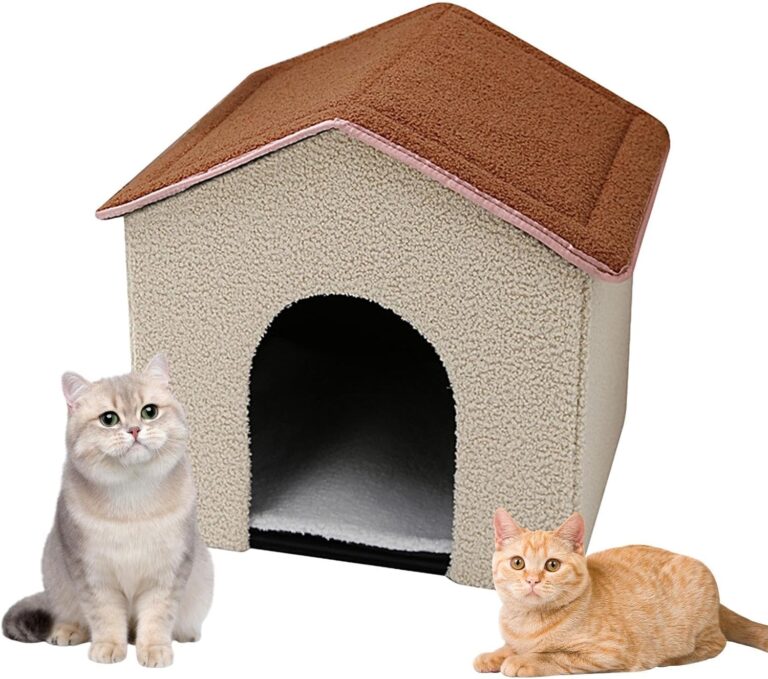 Refuge Ultime pour Chats : Confort et Protection Assurés !